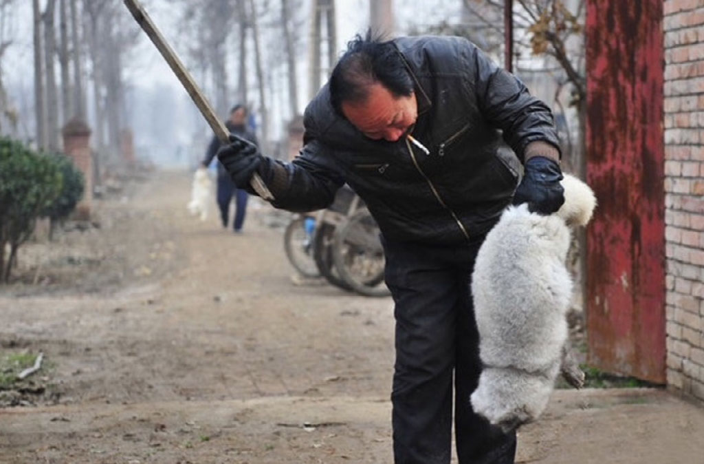 Style Notes: почему дизайнеры отказываются от натурального меха? Posta-Magazine