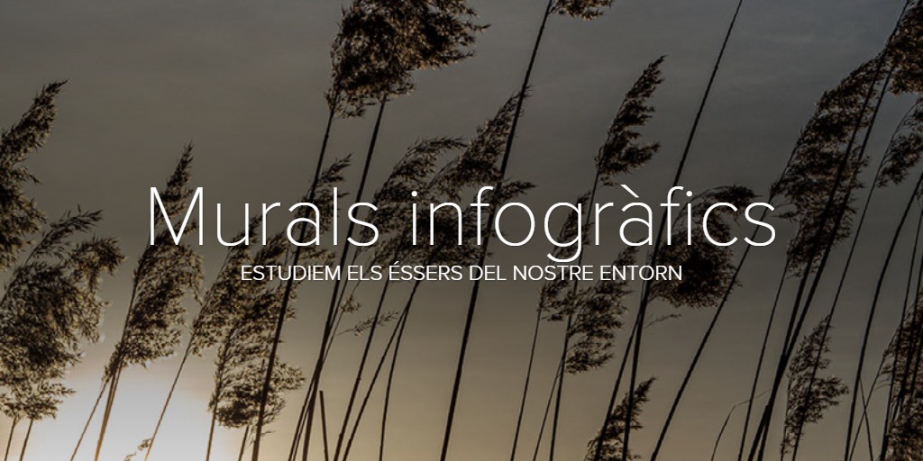 Murals infogràfics