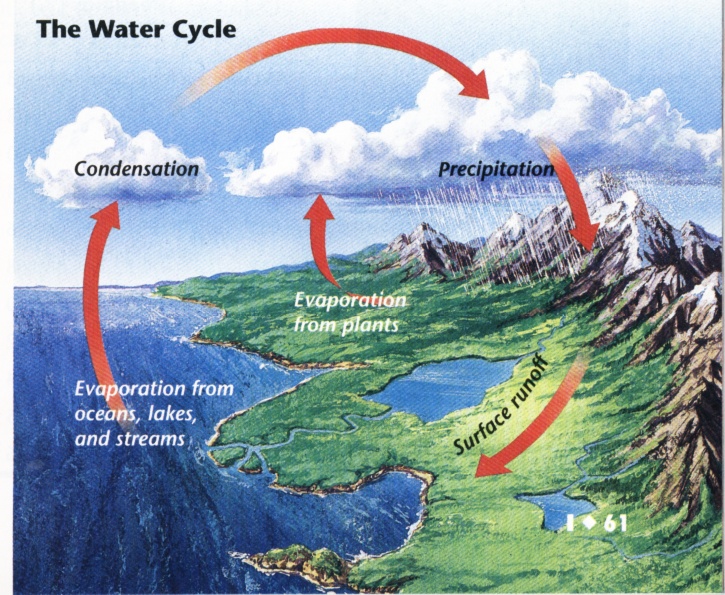 Water
