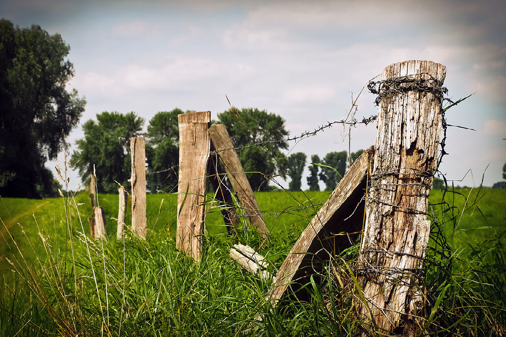 Invention of Barbed Wire