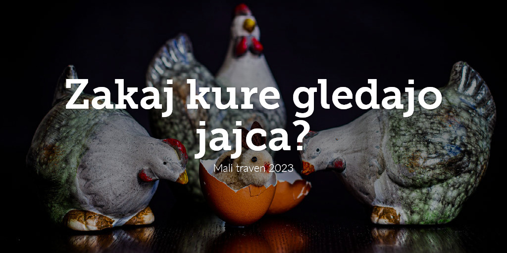 Zakaj kure gledajo jajca?