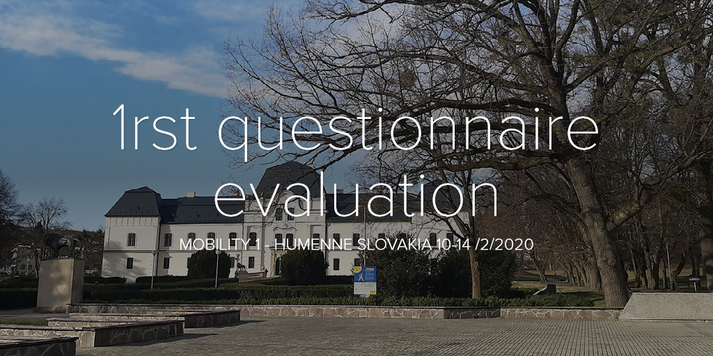 1rst questionnaire evaluation