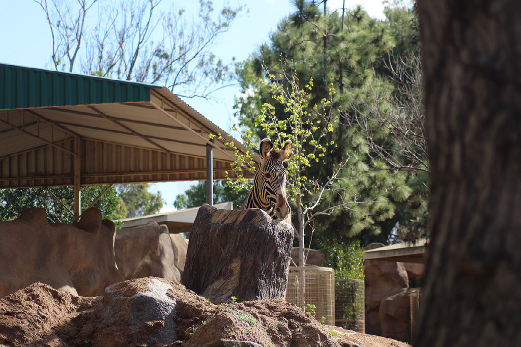 Zoo Habitats zoo-habitats
