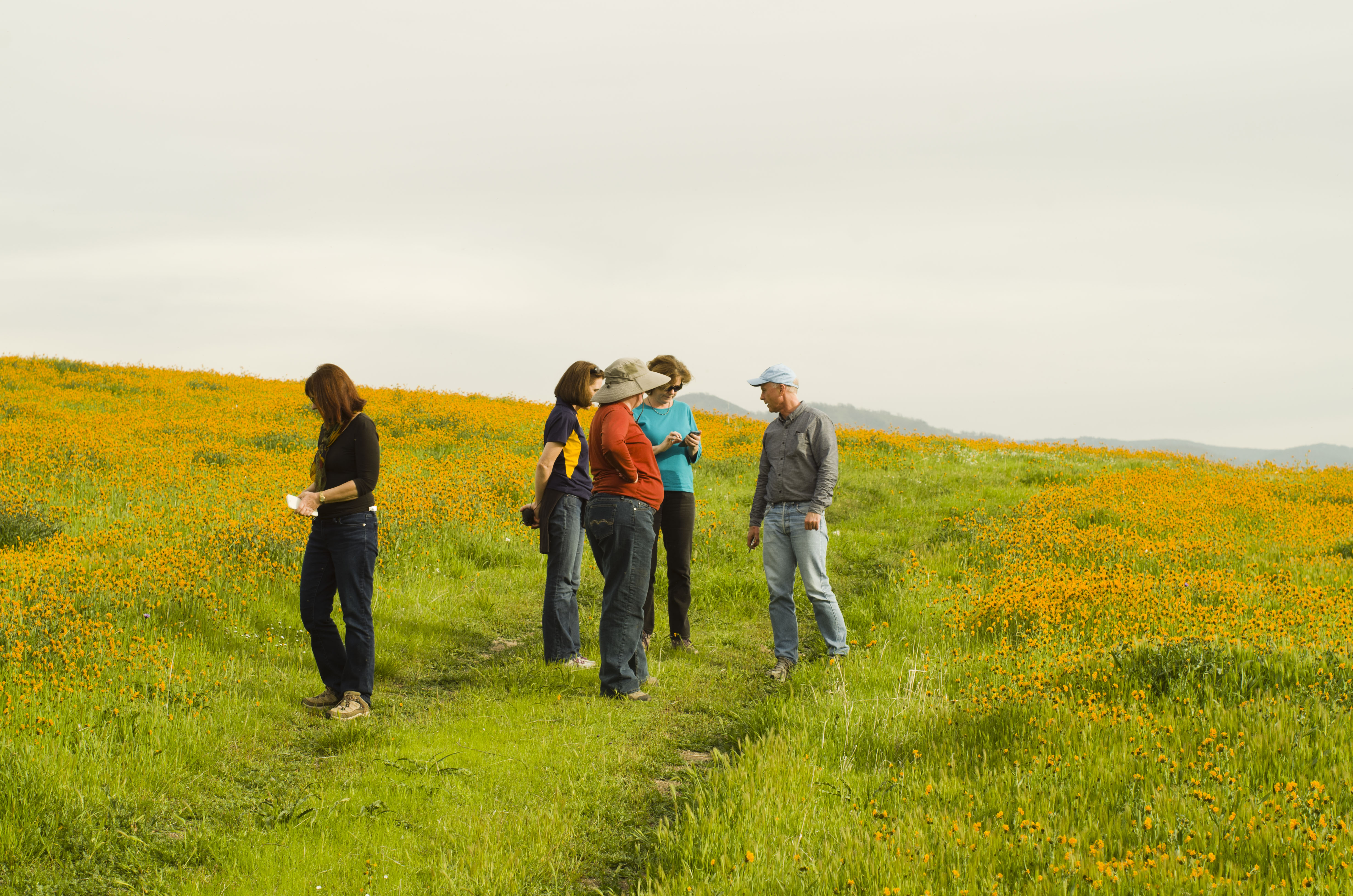 Tejon Ranch conservancy