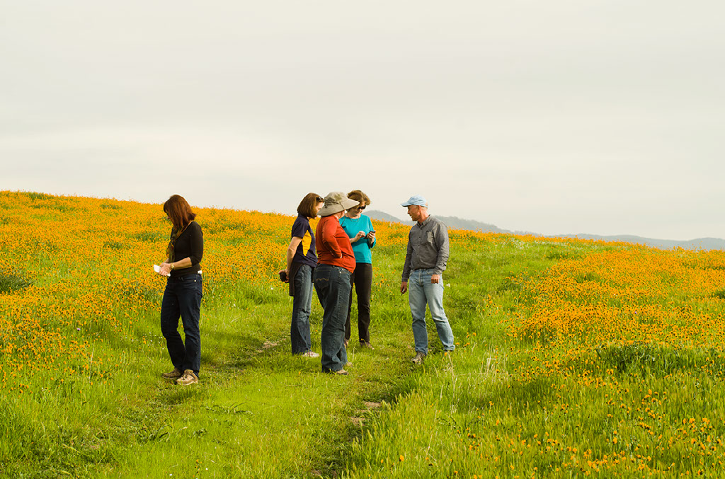 Tejon Ranch conservancy