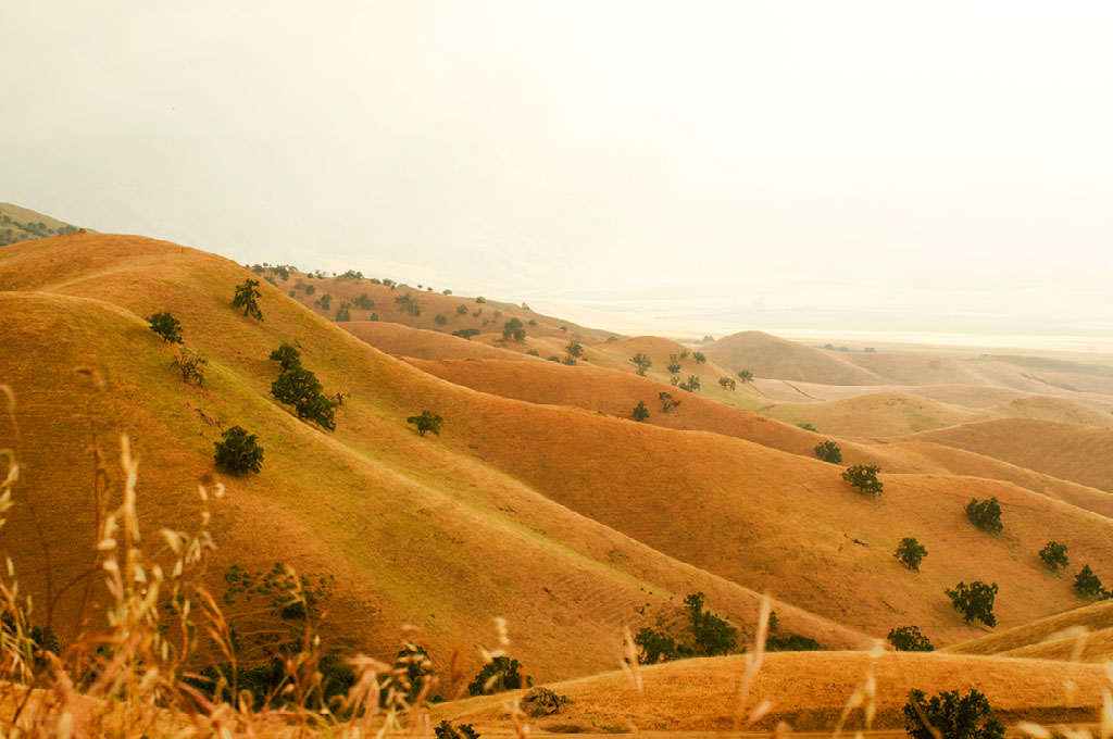 Tejon Ranch conservancy