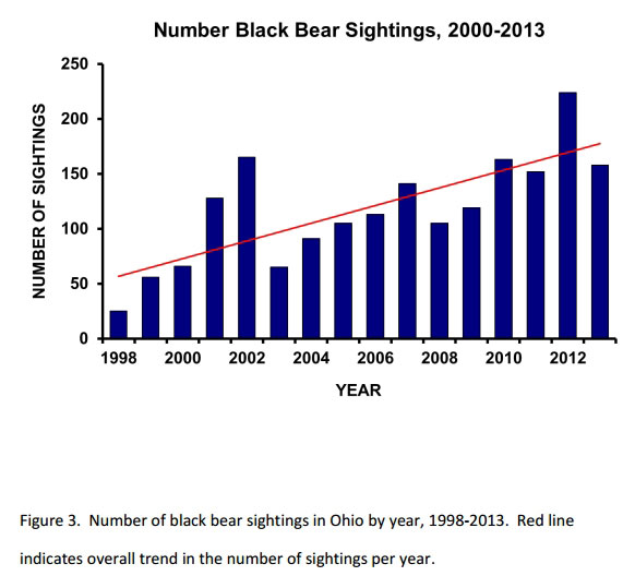 Black Bear in the Rocky Mountains and the West Coast
