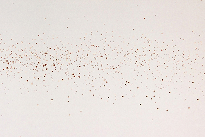 Blood Spatter Patterns