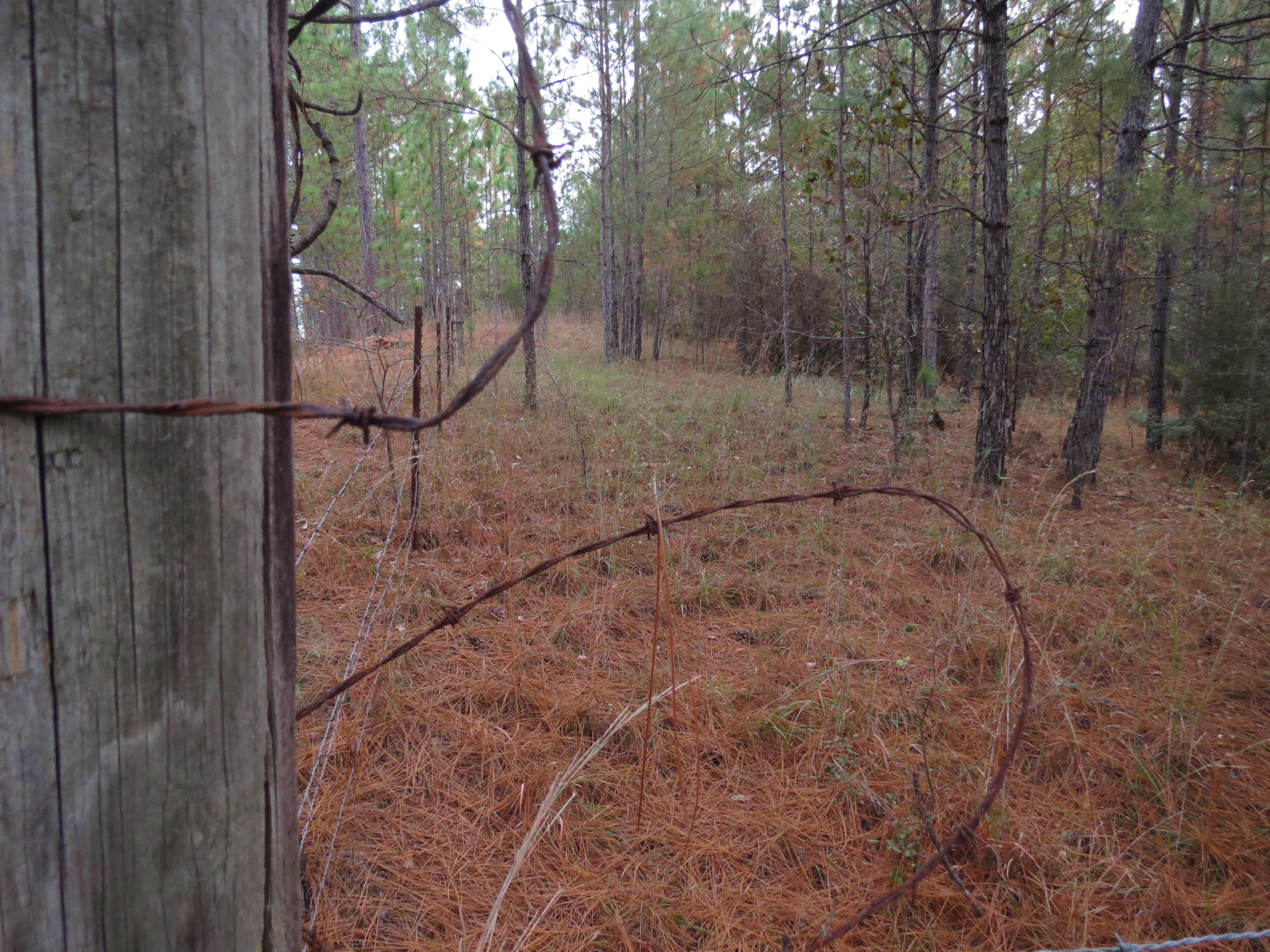 Tom Smith Land and Homes