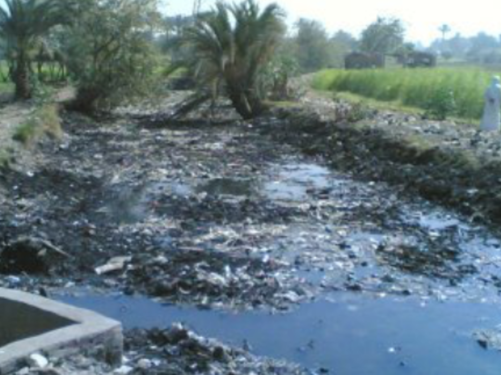 Water scarcity in Egypt