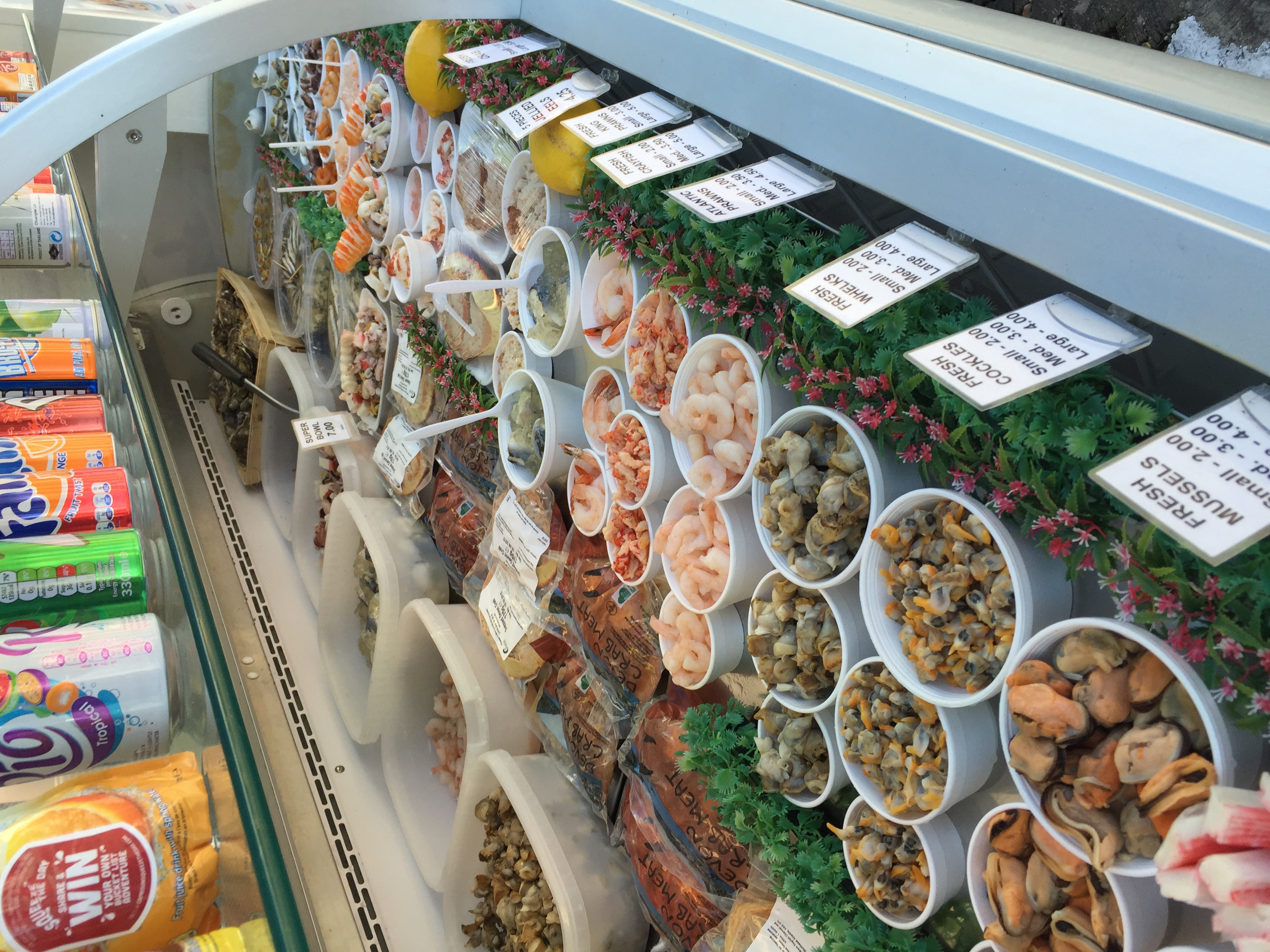 The Brighton Shellfish & Oyster Bar