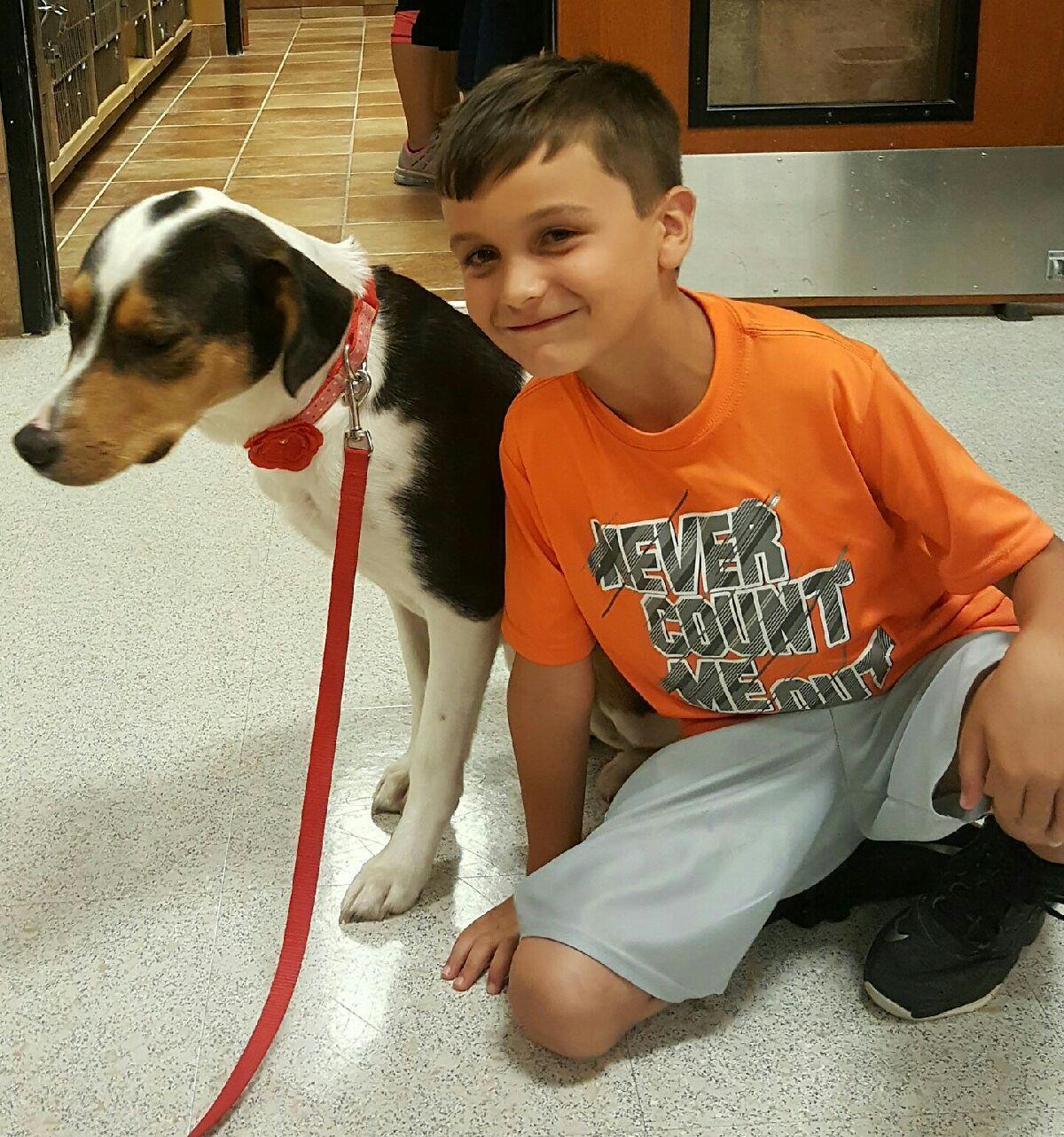 PetSmart Alliance Adoption Event