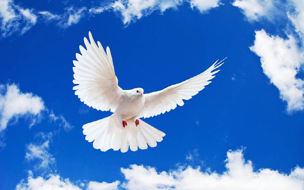 The Holy Spirit the-holy-spirit