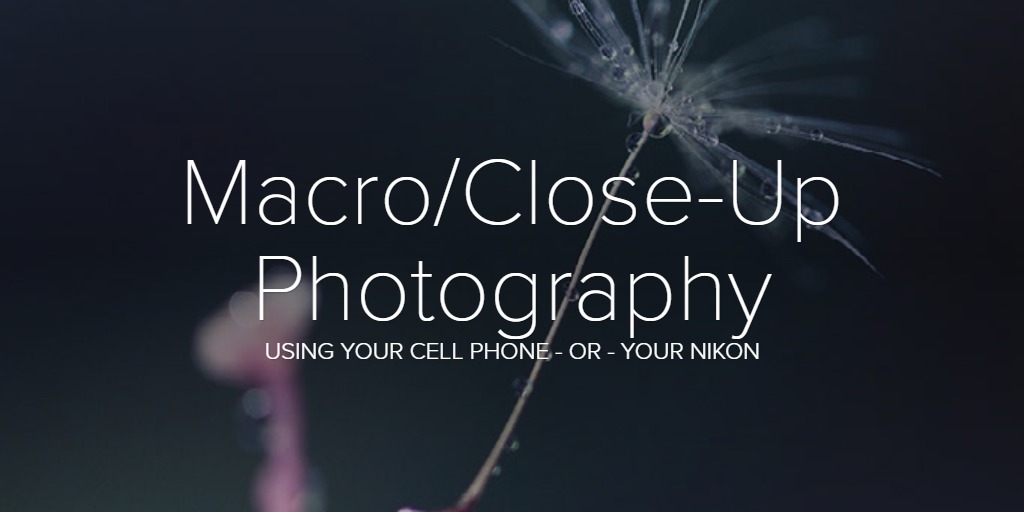 Macro/Close-Up Photography