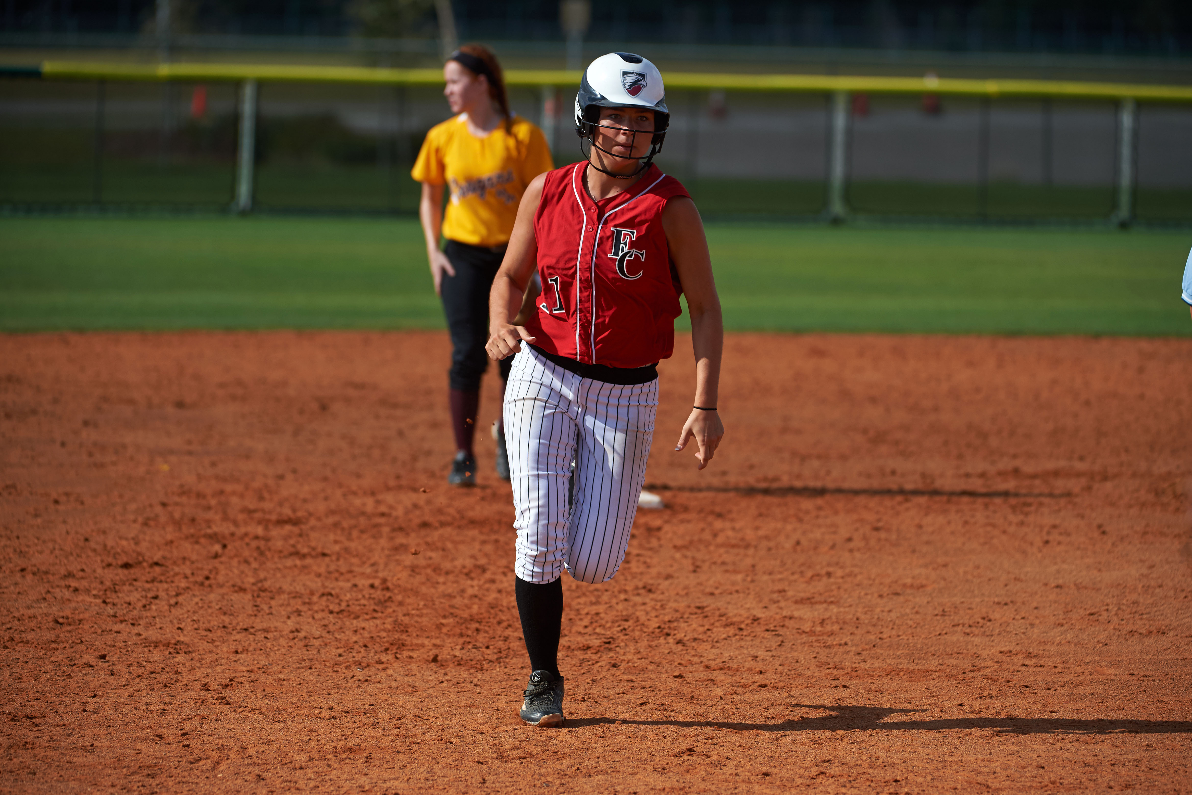Edgewood College Softball