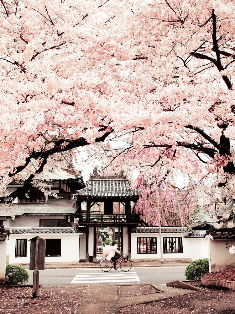 JAPAN TOURIST VISA japan-tourist-visa