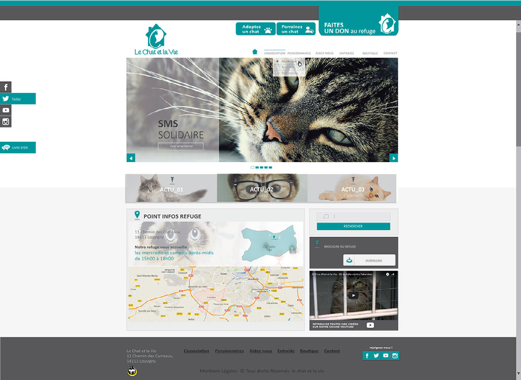 Le Chat Et La Vie Le Chat Et La Vie