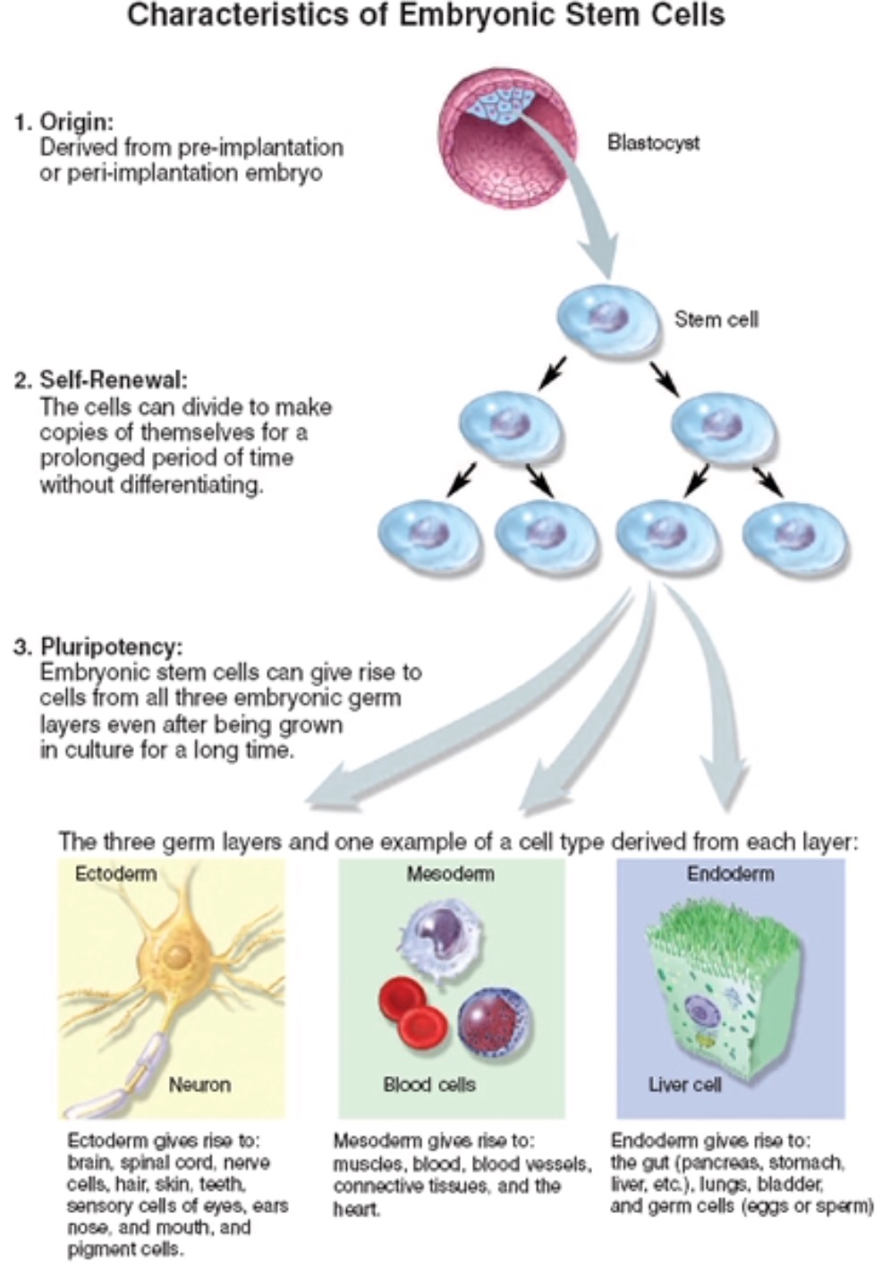 Biotechnology Project