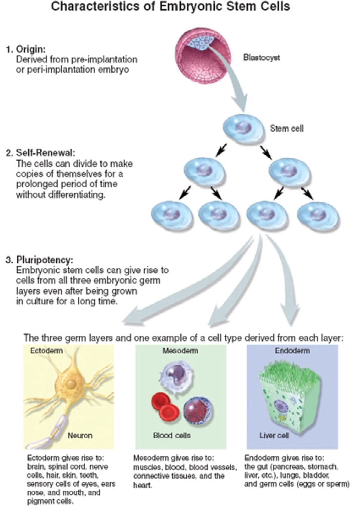 Biotechnology Project