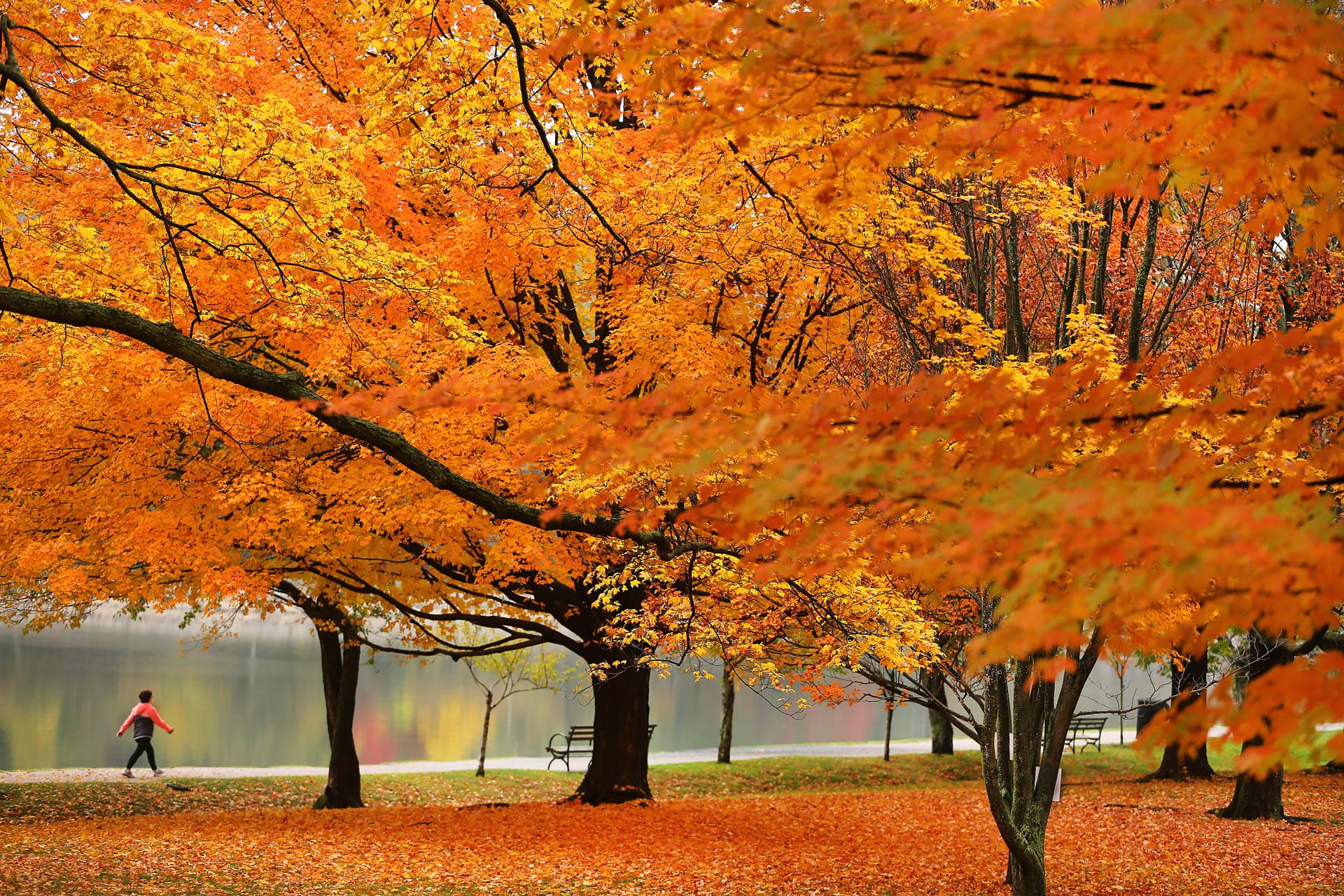 Literature Text Set AUTUMN