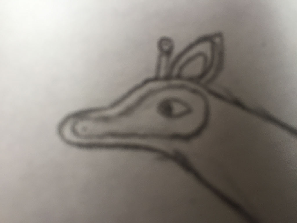 How to Draw an Okapi