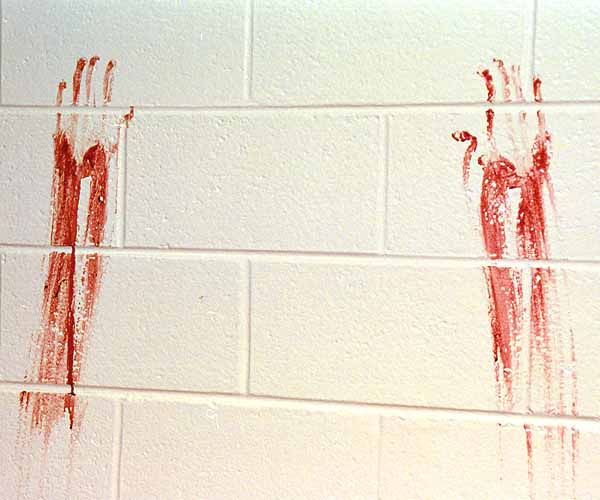Blood Spatter patterns
