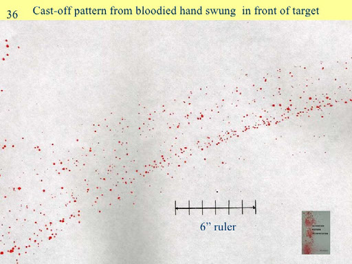 Blood Spatter patterns