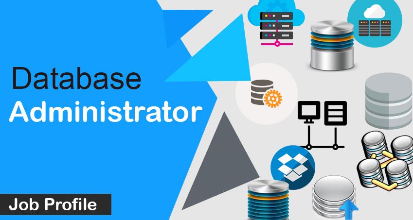 Database Administrator