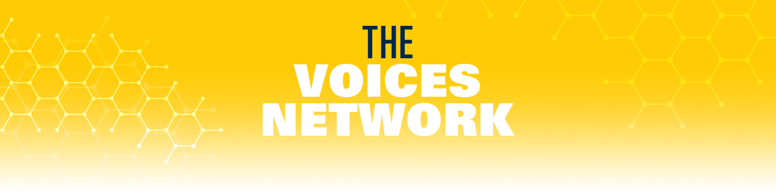 Text as image that reads: The Voices Network