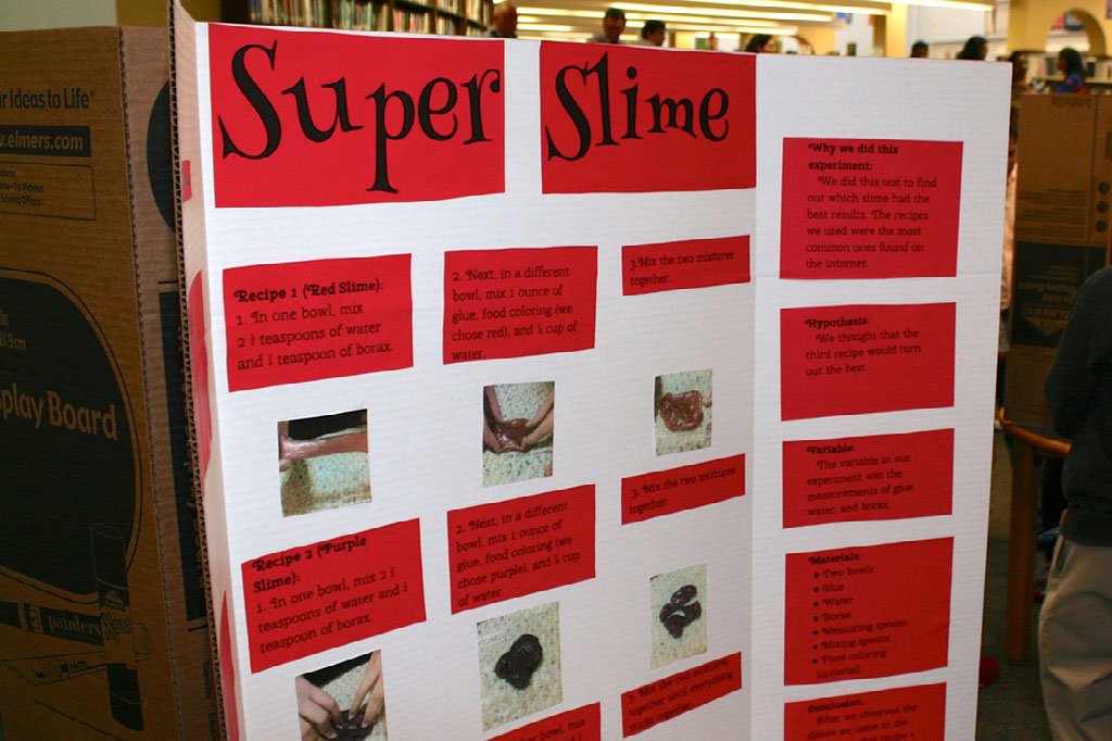 Science & Engineering Fair Winners Share Projects with Board of Education