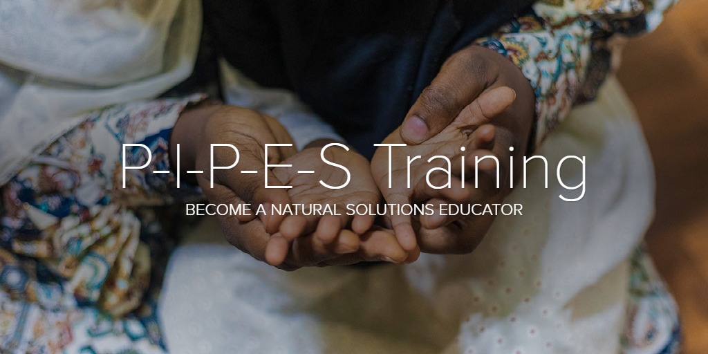 P-I-P-E-S Training