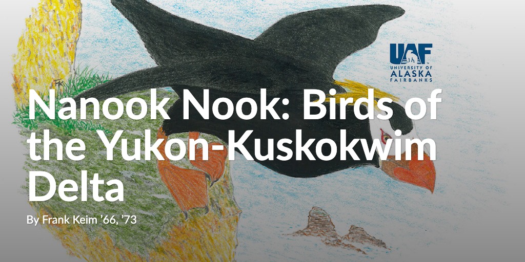 Nanook Nook: Birds of the Yukon-Kuskokwim Delta