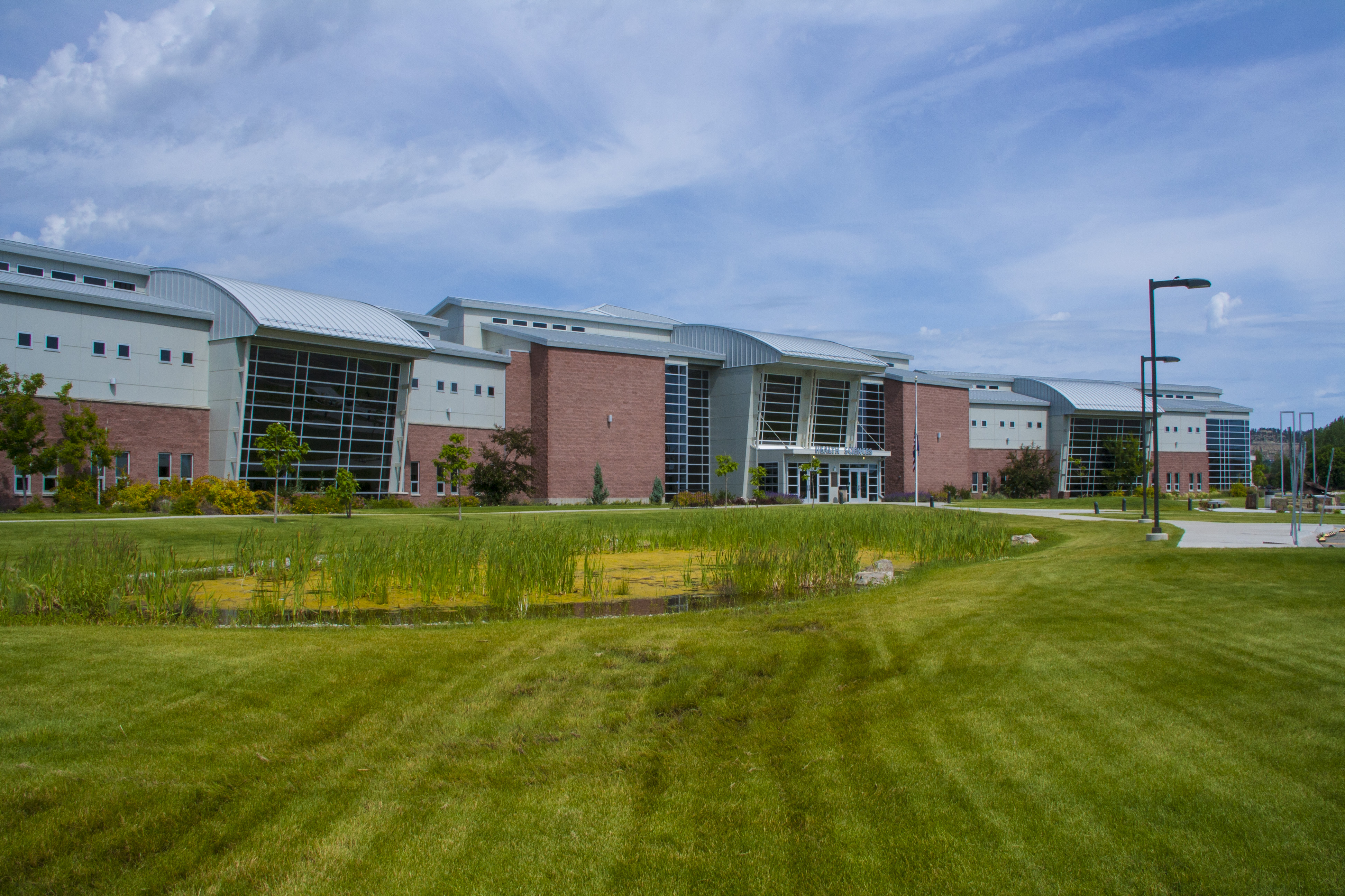 Montana State University Billings