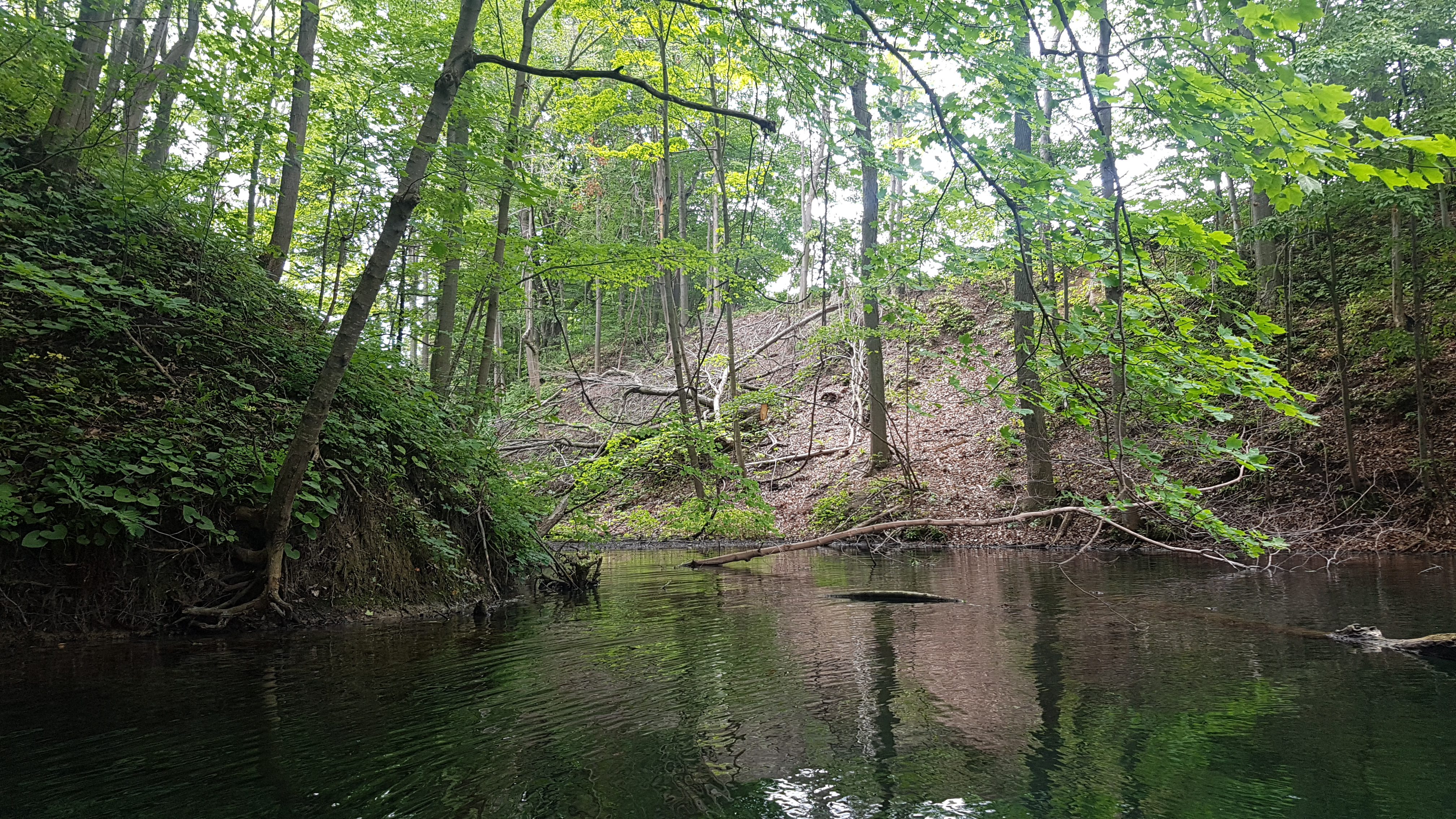 View across Deer Creek Lake