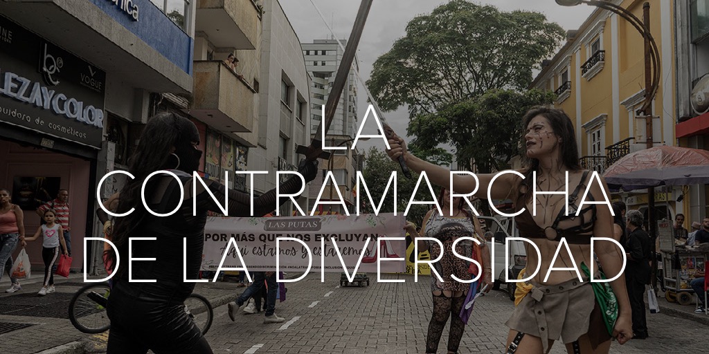 LA CONTRAMARCHA DE LA DIVERSIDAD
