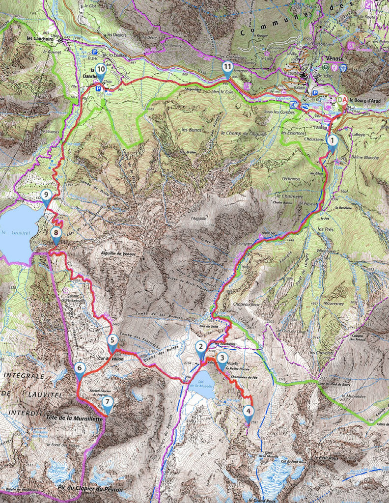 tete de la muraillette
