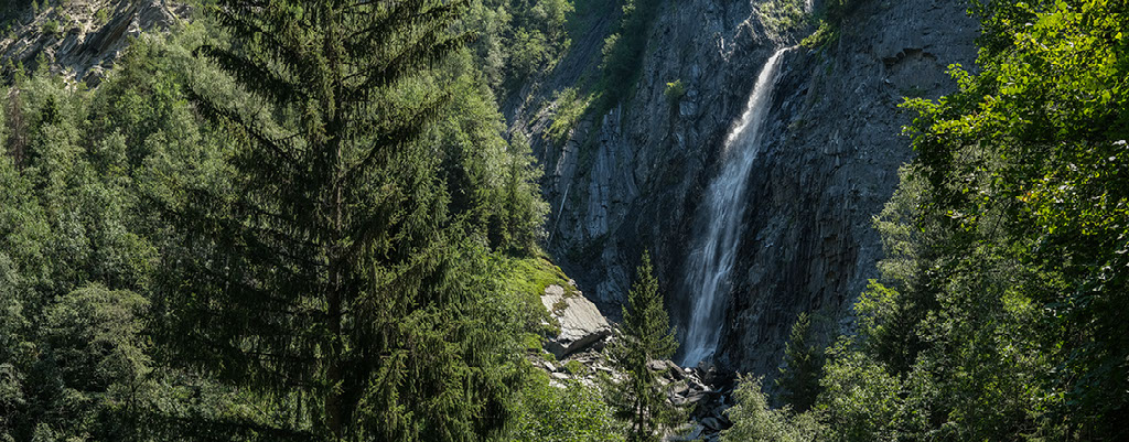 tete de la muraillette