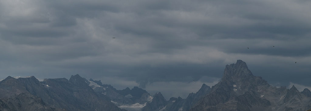 tete de la muraillette