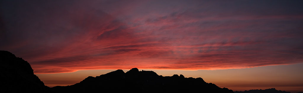 tete de la muraillette