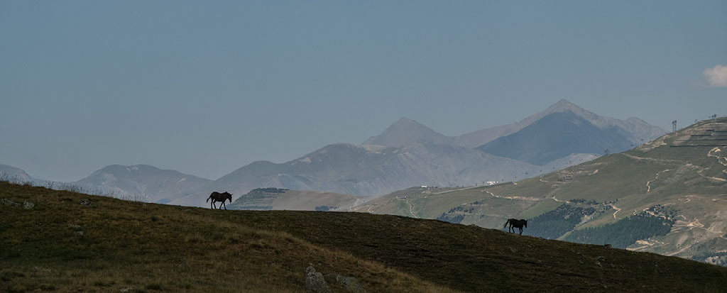 tete de la muraillette