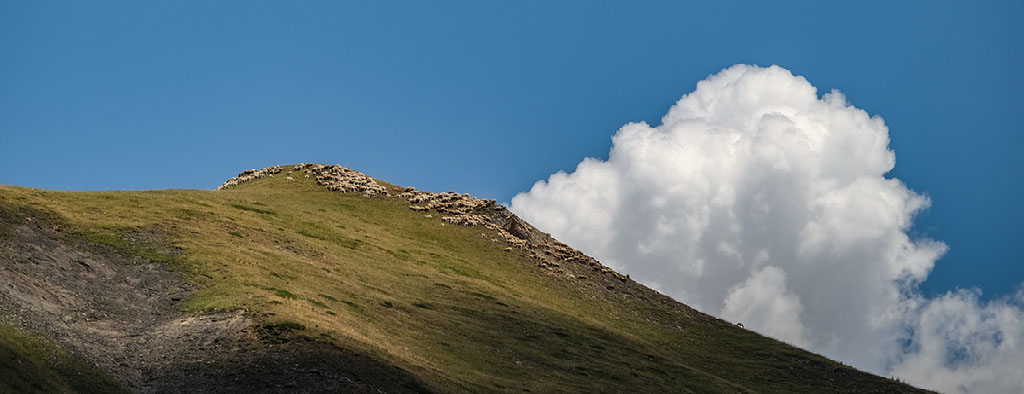 tete de la muraillette