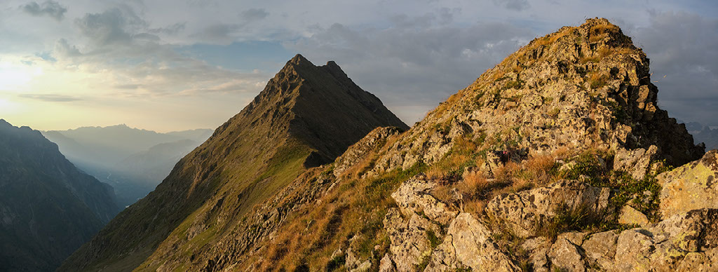 tete de la muraillette