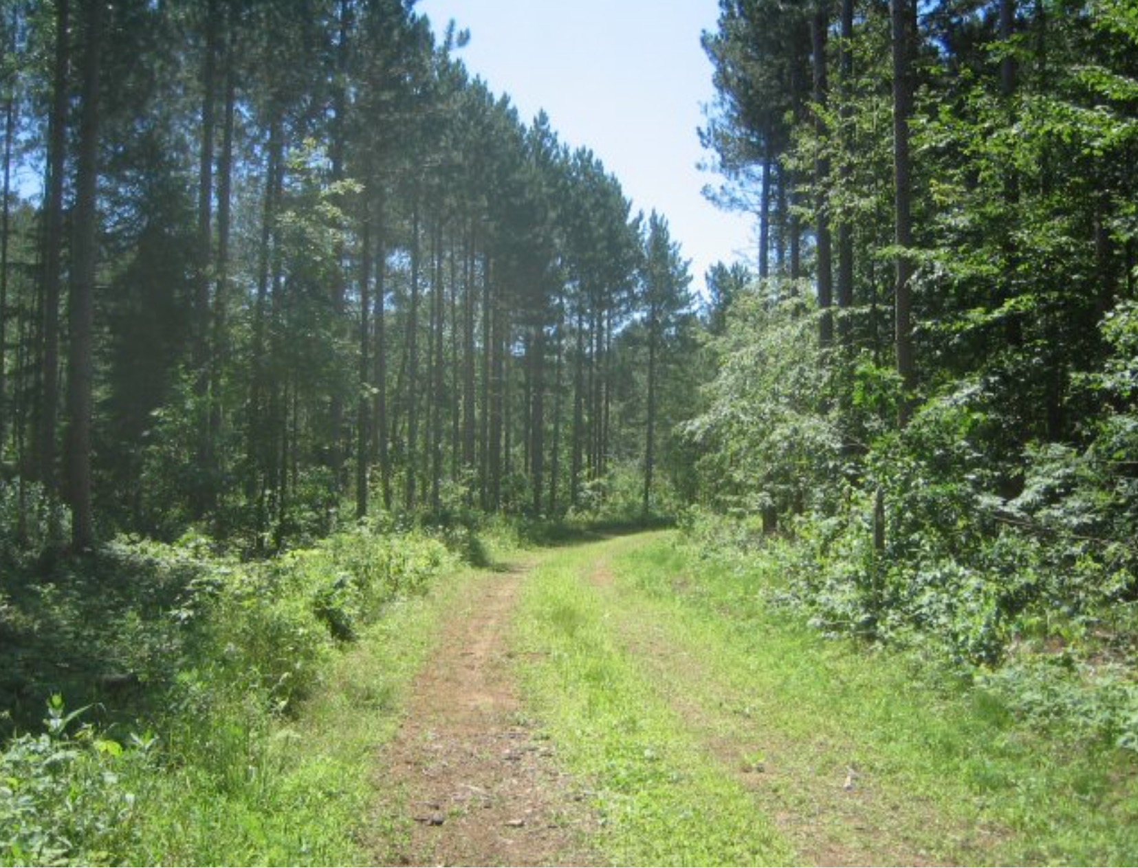 Town of Little Suamico